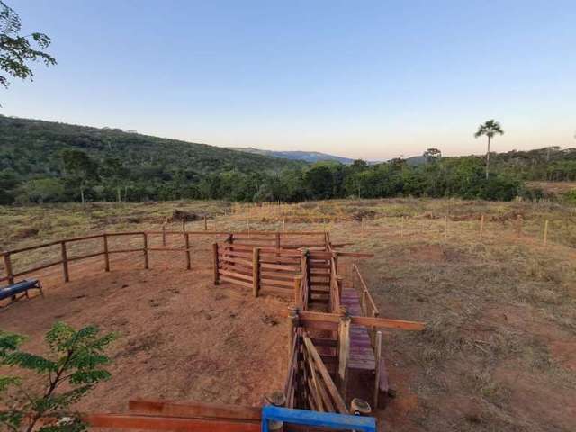 Fazenda à venda no bairro Área Rural de Araguari - Araguari/MG