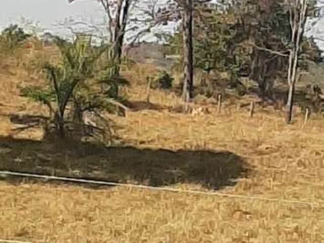 Fazenda para café à venda em Araguari