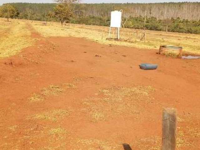 Fazenda em Araguari