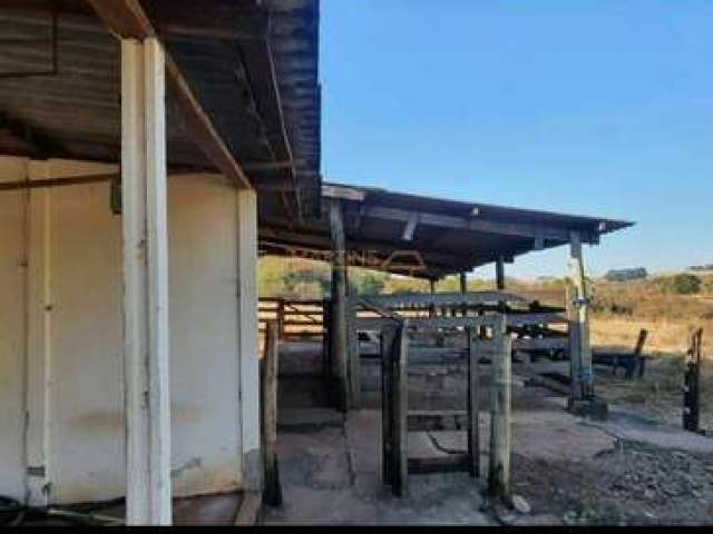 Fazenda para café à venda em Araguari