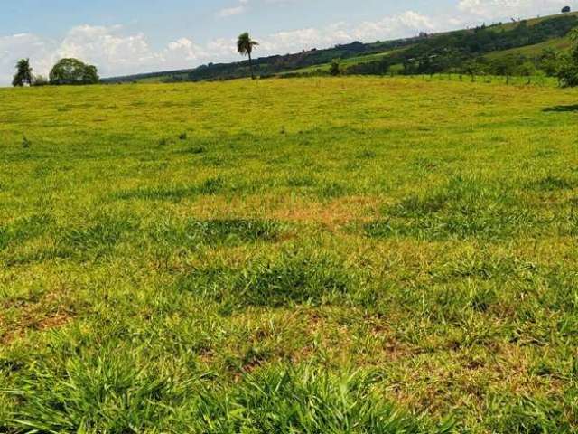 Fazenda para Gado em Araguari