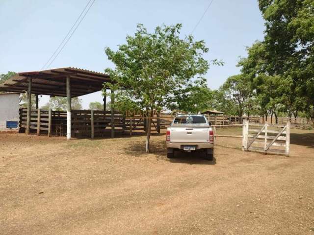 Fazenda em Araguari