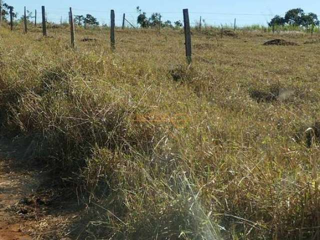 Fazenda em Araguari