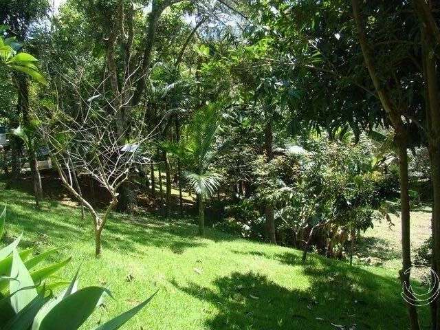 Terreno à venda no bairro Córrego Grande - Florianópolis/SC