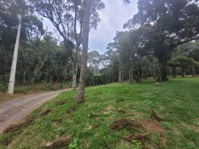 Terreno à venda na Avenquinha, Campo Alegre  por R$ 690.000