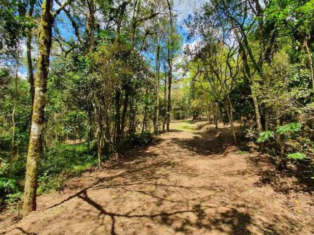 Chácara / sítio à venda na Avenquinha, Campo Alegre  por R$ 1.050.000