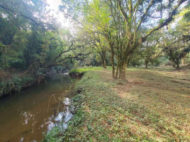 Chácara / sítio com 3 quartos à venda em São Miguel, Campo Alegre , 150 m2 por R$ 4.600.000