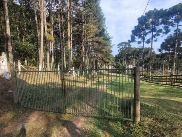 Terreno à venda no Rio Vermelho, Campo Alegre  por R$ 1.380.000