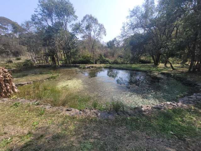 Chácara / sítio com 1 quarto à venda na Avenquinha, Campo Alegre  por R$ 590.000