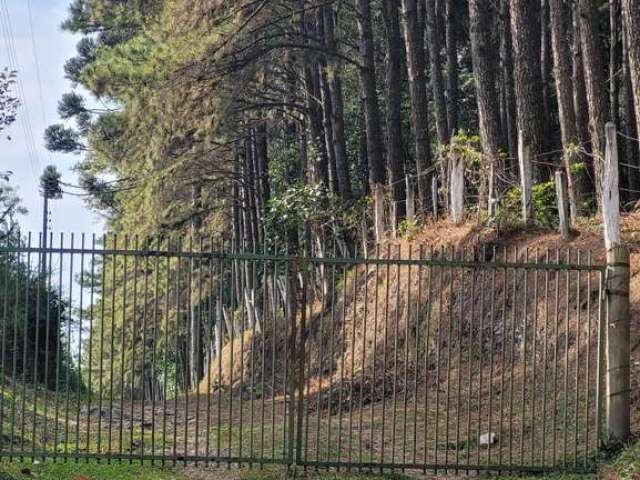 Terreno à venda no Rio Vermelho, Campo Alegre  por R$ 690.000