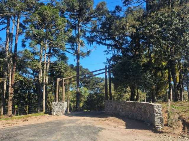 Terreno à venda no Bateias de Cima, Campo Alegre  por R$ 625.537