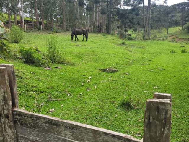 Chácara / sítio à venda em São Miguel, Campo Alegre  por R$ 2.200.000