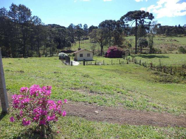 Chácara / sítio com 2 quartos à venda em São Miguel, Campo Alegre , 50 m2 por R$ 420.000