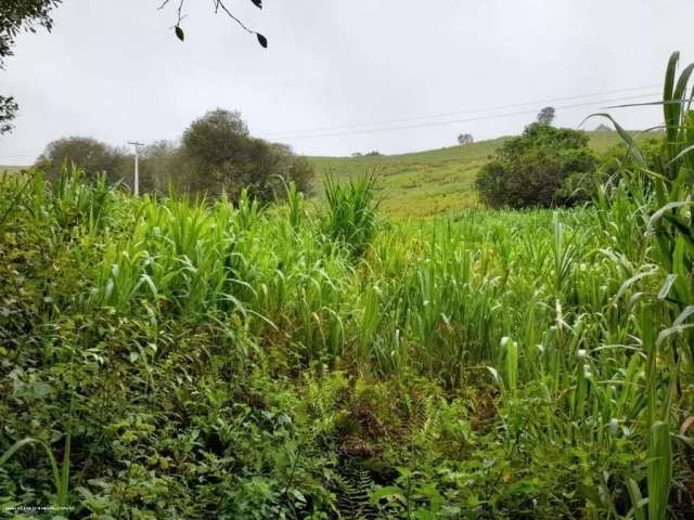 Sítio para Venda em Itaboraí, Cabuçu, 2 dormitórios, 1 banheiro, 1 vaga