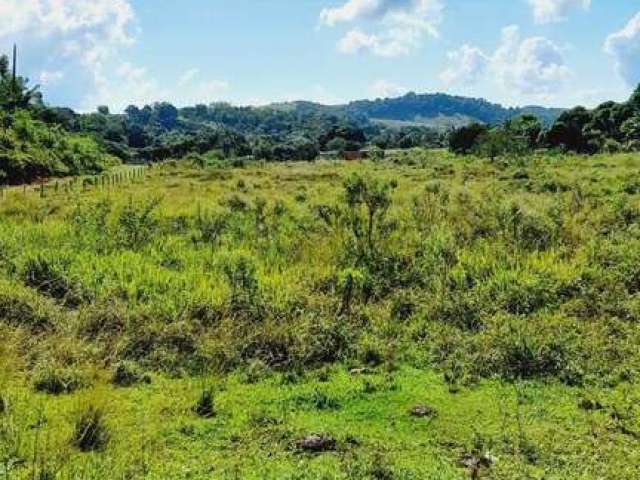 Fazenda para Venda em Rio Bonito, Sambé, 2 dormitórios, 1 banheiro