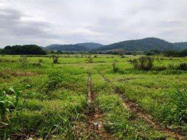 Sítio para Venda em Cachoeiras de Macacu, Cachoeira da Quizanga, 2 dormitórios, 1 banheiro, 1 vaga