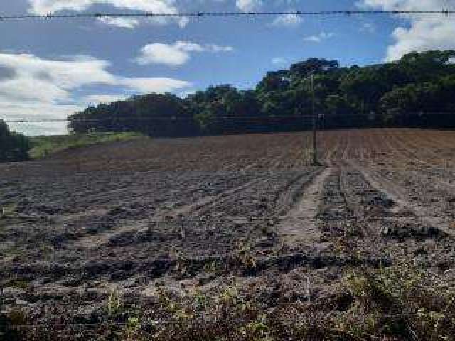 Sítio para Venda em Cachoeiras de Macacu, Quizanga, 3 dormitórios, 1 suíte, 1 banheiro, 1 vaga