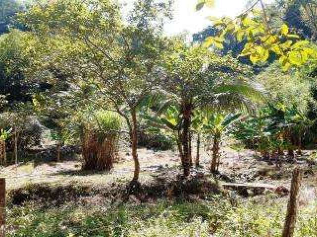 Sítio para Venda em Cachoeiras de Macacu, Agro Brasil, 2 dormitórios, 1 banheiro, 1 vaga