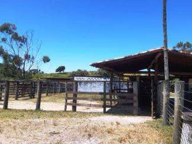 Fazenda para Venda em Rio Bonito, Boa Esperança, 2 dormitórios, 1 banheiro, 1 vaga