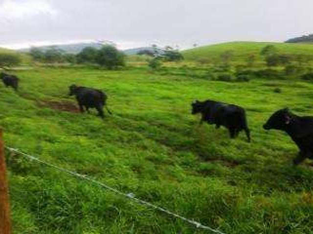 Fazenda para Venda em Silva Jardim, Silva Jardim, 5 dormitórios, 1 suíte