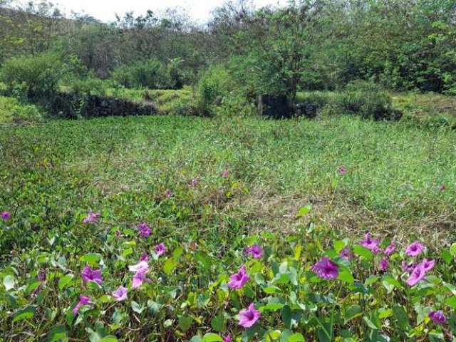 Sítio para Venda em Itaboraí, Itapacorá, 2 dormitórios, 1 banheiro, 1 vaga