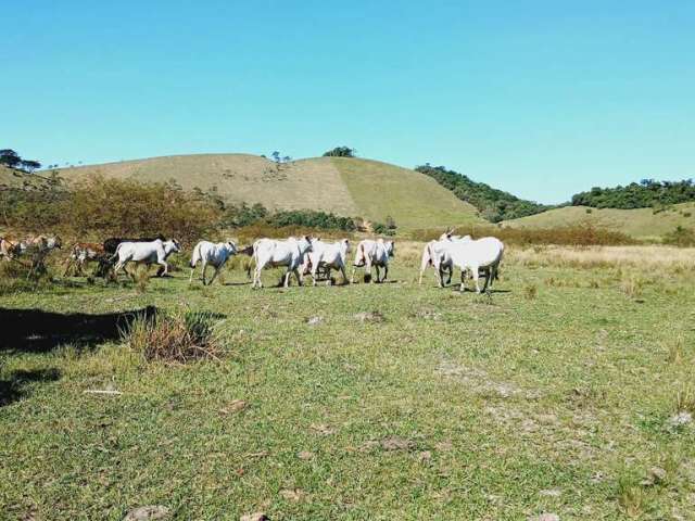 Fazenda para Venda em Silva Jardim, Imbaú, 3 dormitórios, 1 suíte, 1 banheiro, 1 vaga