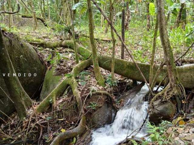 Terreno para Venda em Cachoeiras de Macacu, Guapiaçu