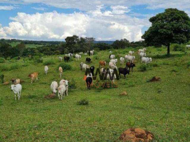 Fazenda à venda, 968000 m² por R$ 5.300.000,00 - Zona Rural Hidrolandia - Hidrolândia/GO