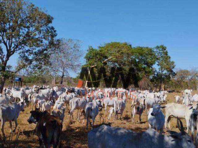 Fazenda à venda, 11567600 m² por R$ 20.315.000,00 - Zona Rural - Lagoa do Tocantins/TO