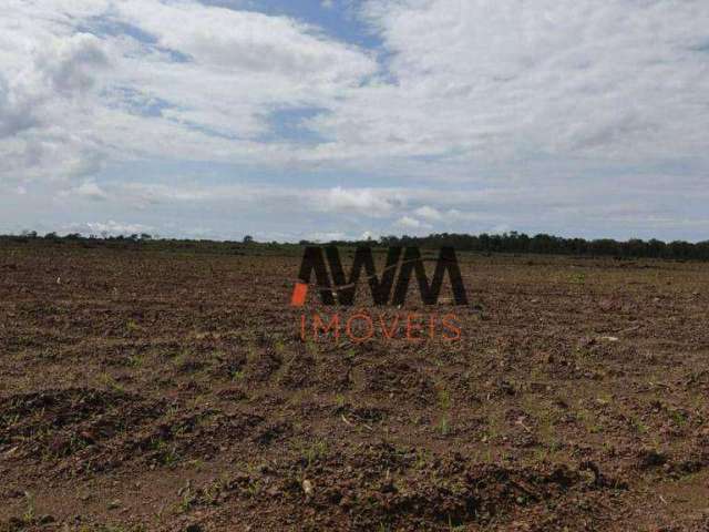 Fazenda à venda, 38136780 m² por R$ 40.000.000,00 - Zona Rural - Monte do Carmo/TO