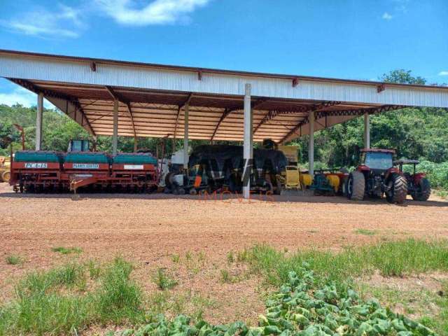 Fazenda à venda, 21538000 m² por R$ 50.000.000,00 - Zona Rural - Pedro Afonso/TO