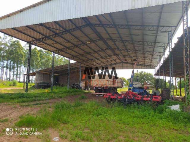 Fazenda à venda, 28920452 m² por R$ 54.000.000,00 - Zona Rural - Pedro Afonso/TO