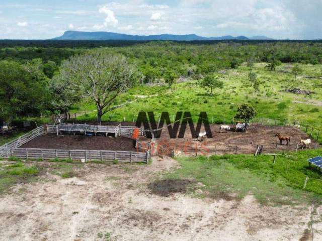 Fazenda à venda, 41220000 m² por R$ 28.000.000,00 - Zona Rural - Conceição do Tocantins/TO