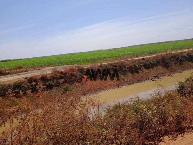 Fazenda à venda, 7260 ha por R$ 225.000.000 - Javaés - Lagoa da  Confusão/TO