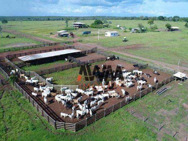 Fazenda à venda, 62800000 m² por R$ 130.000.000,00 - Zona Rural - Paranatinga/MT