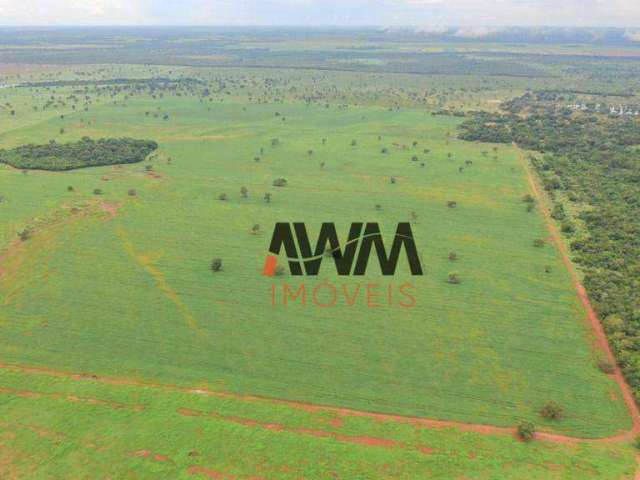 Fazenda à venda, 5227 HA por R$ 150.000.000 - Javaés - Lagoa da  Confusão/TO