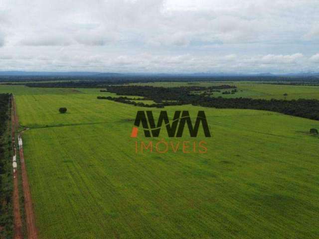 Fazenda à venda, 48400 Hectares por R$ 120.000.000 - Centro - Formosa/GO