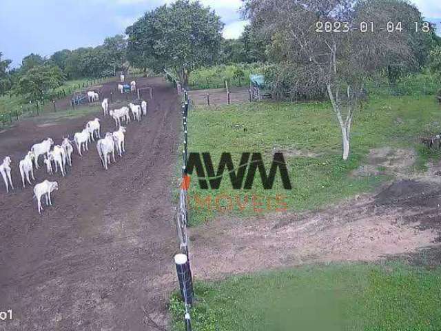 Fazenda à venda, 847.00 Hectares por R$ 8.000.000 - Zona Rural - Cocalinho/MT