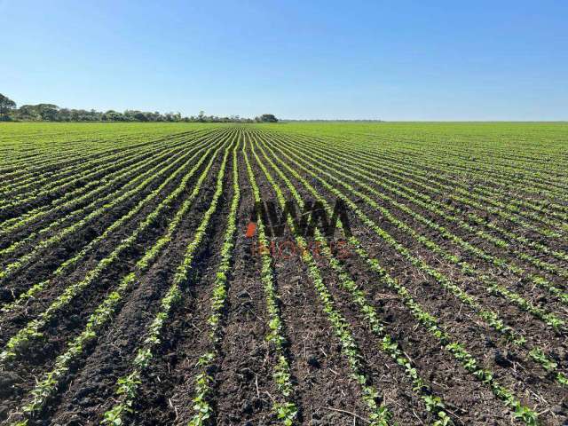 Fazenda à venda, 15.000 ha  por R$ 1.500.000.000 -  São José do Xingu/MT