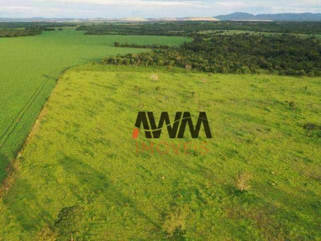 Fazenda à venda, 242,00 Hectares por R$ 9.000.000 - Zona Rural - Alto Horizonte/GO