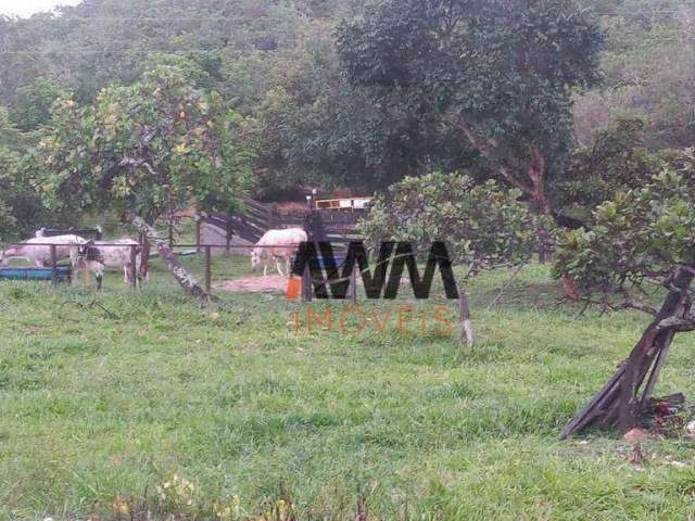 Fazenda à venda, 77.44 hectares por R$ 3.200.000 - Centro - Goiás/GO