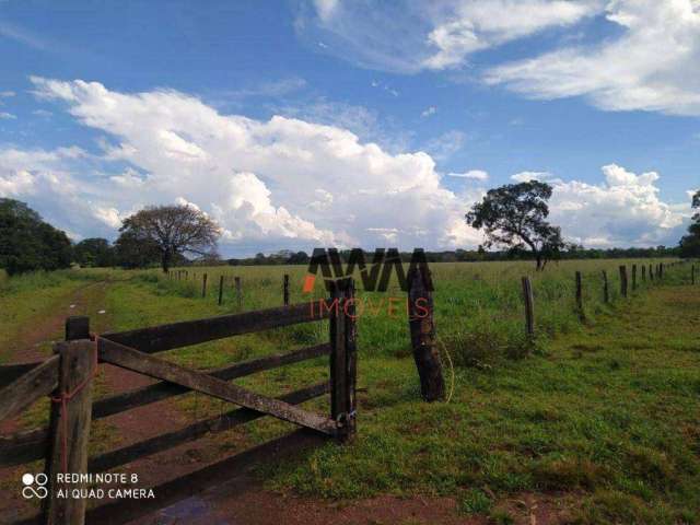 Fazenda à venda, 8030000 m² por R$ 22.400.000,00 - Centro - Cristalândia/TO