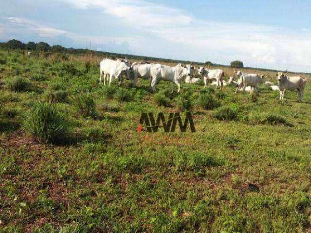 Fazenda à venda, 79279200 m² por R$ 200.000.000,00 - Zona Rural - Duerê/TO