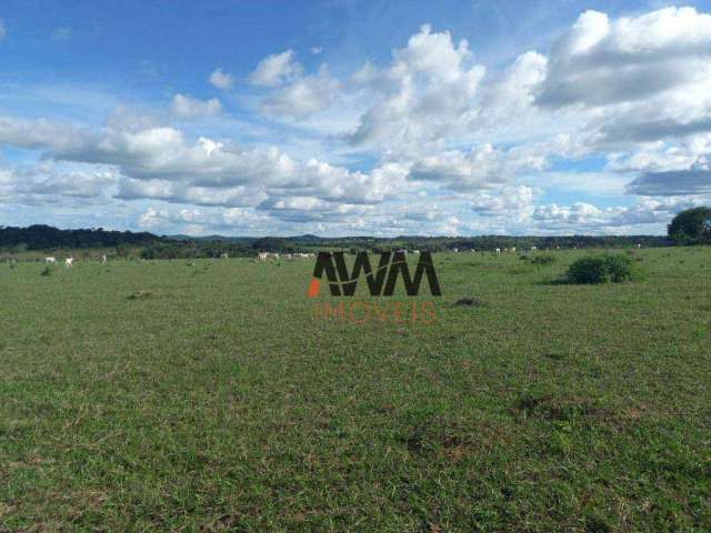 Fazenda à venda, 1548800 m² por R$ 6.400.000,00 - Zona Rural - Itapuranga/GO