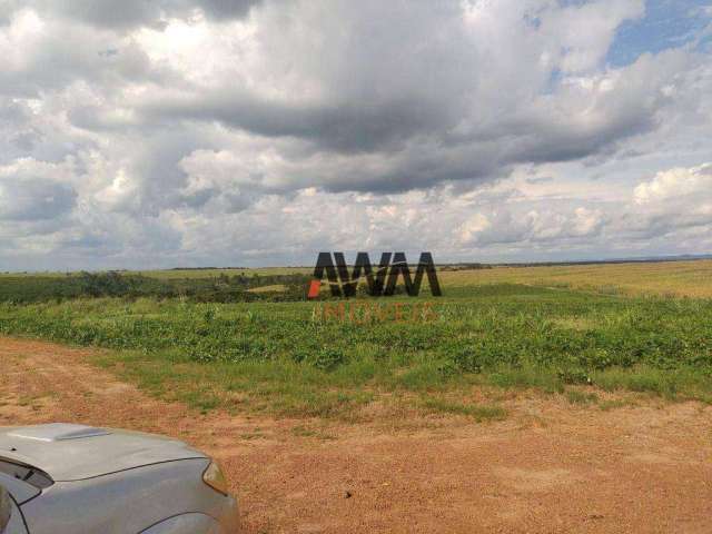 Fazenda à venda, 160000000 m² por R$ 450.000.000,00 - Fazenda - Fortuna/MA