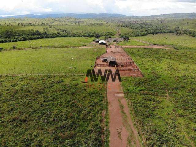 Fazenda à venda, 121000000 m² por R$ 325.000.000,00 - Centro - Cumaru do Norte/PA