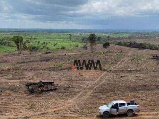 Fazenda à venda, 10406000 m² por R$ 27.000.000,00 - Centro - Goianésia do Pará/PA