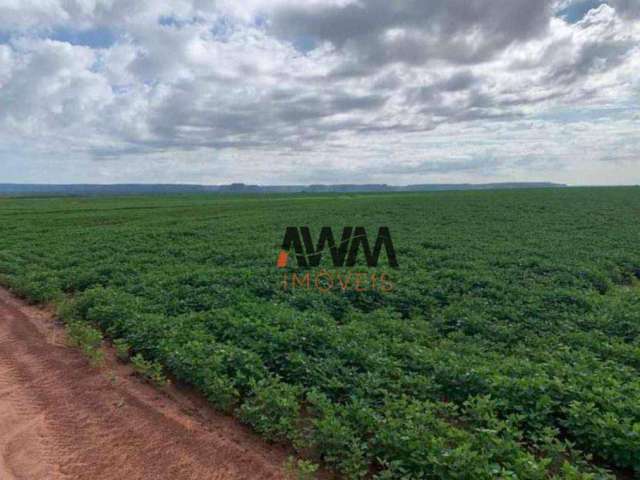 Fazenda à venda, 57520000 m² por R$ 160.000.000,00 - Cajueiro - Balsas/MA