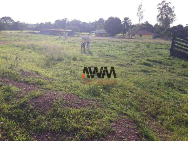 Fazenda à venda, 22022000 m² por R$ 28.000.000,00 - Zona Rural - Duerê/TO