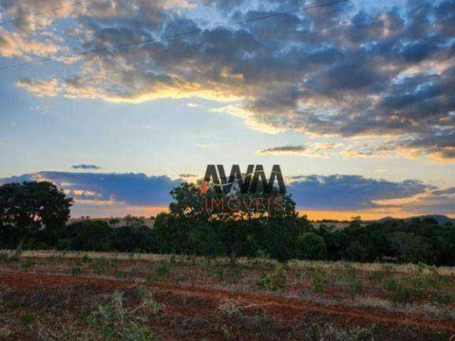 Fazenda à venda, 3291200 m² por R$ 10.900.000,00 - Zona Rural - Jaraguá/GO